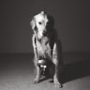 Meet your Posher, Teelaire